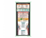 WhiteCoat Clipboard® Trifold - Mint Physical Therapy Edition